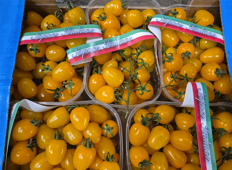 Datterino giallo - Sicilia - 5,00/5,50 euro al chilogrammo